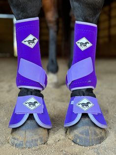 the legs and feet of a horse wearing purple boots with black straps on it's ankles