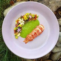 a white plate topped with food on top of a green leafy table next to rocks