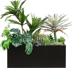 an assortment of plants in a black planter