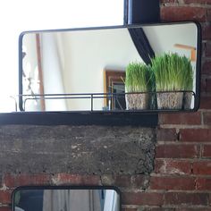 two potted plants sit on top of a brick wall in front of a mirror