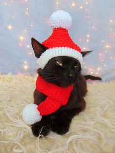 a black cat wearing a knitted santa hat and scarf