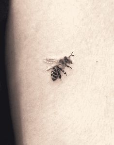 a black and white photo of a bee on the back of a woman's thigh