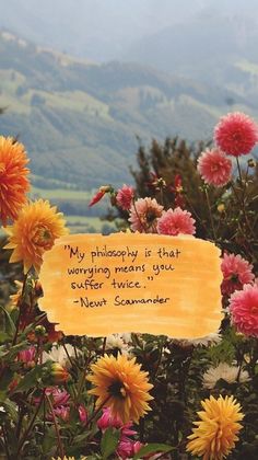 colorful flowers with mountains in the background