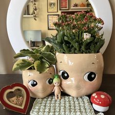 there is a potted plant with two eyes on it and a small doll next to it