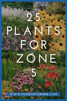 flowers with the words 25 plants for zone 5 in front of it, and an image of