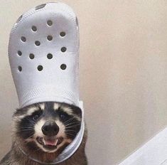 a raccoon wearing a white hat with holes on it