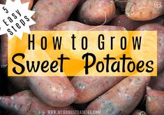 sweet potatoes with the words how to grow sweet potatoes on it and an image of them