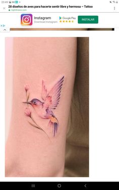 Colorful Hummingbird Tattoo, Hummingbird Flower Tattoos, Dogwood Tattoo, Peace Tattoos, Astrology Tattoo, Pawprint Tattoo, Birthday Tattoo, Gorgeous Tattoos, Hummingbird Tattoo