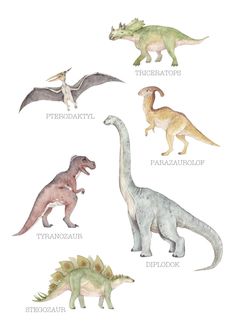 different types of dinosaurs are shown in this image, with the names on each one