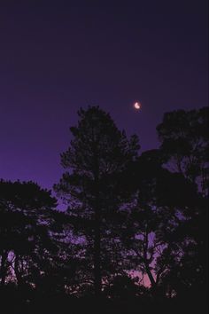 the moon is setting behind some trees