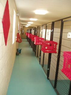 the hallway is lined with cages and red bins