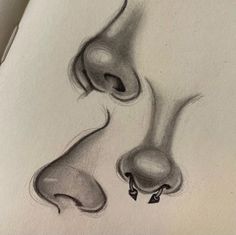 a pencil drawing of two nose shapes