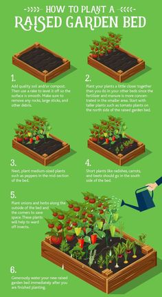 how to plant a raised garden bed in the yard info graphic by creative commonss