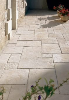 a stone walkway with potted plants on the side and door to another building in the background