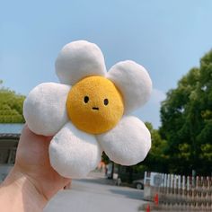 a hand holding a white and yellow flower with a smiley face drawn on it's center