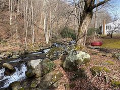 a stream running through a forest next to a house