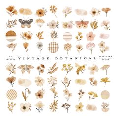 vintage botanical clipart set with flowers, leaves and butterflies in watercolor on white background