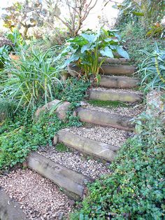 a set of stone steps with plants growing on them