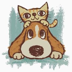 a cat sitting on top of a dog's head with its eyes wide open