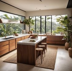 a large kitchen with lots of counter space and plants in the window sill area