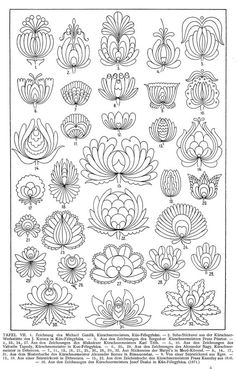 the different types of flowers and leaves in black ink on white paper, each with an individual