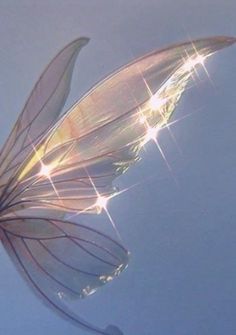 a close up view of a butterfly wing in the air with light shining on it's wings