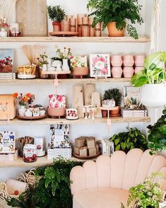 a room filled with lots of plants and potted plants on top of wooden shelves