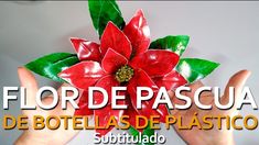 a hand holding a paper poinsettia in it's palm with the words flor de pascua de botellas de plas plastico