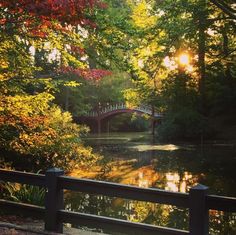 a bridge over a river surrounded by trees