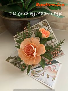 an orange flower sitting on top of two cards next to a potted green plant