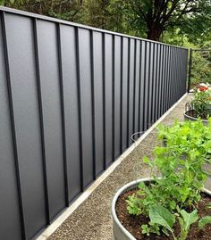 some plants are growing next to a metal fence