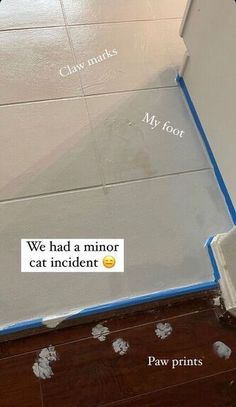 the floor is being painted with white paint and blue tape, which says we had a minor cat incident