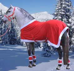 a horse wearing a red and white blanket standing in the snow with trees behind it