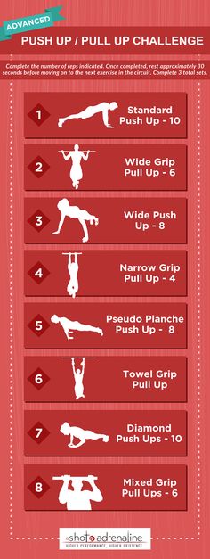 the ultimate push up and pull - up workout guide for beginners infographical