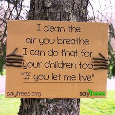 a sign on a tree that says, i clean the air you breathe i can do that for your children too if you let me live