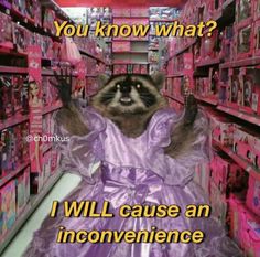 a raccoon wearing a purple dress in a store aisle with the caption, you know what? i will cause an inconvenience