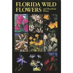 the florida wild flowers and road side plants book with pictures of different kinds of flowers