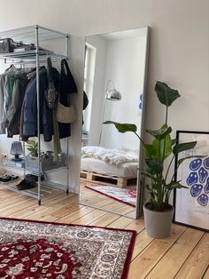 a room with a mirror, rug and clothes rack in the corner next to a potted plant