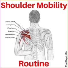 the shoulder is shown with words describing how it's important to someone in their body