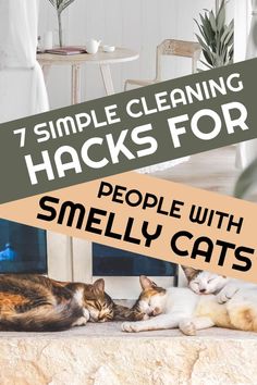 two cats sleeping on the floor with text overlay that reads 7 simple cleaning hacks for people with smelly cats