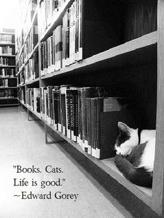 a black and white cat laying on top of a book shelf in a library filled with books