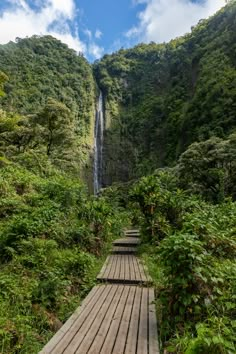 a wooden walkway leading to a waterfall in the jungle