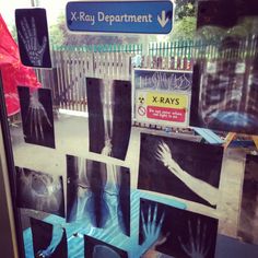 an image of x - ray images on display in a window