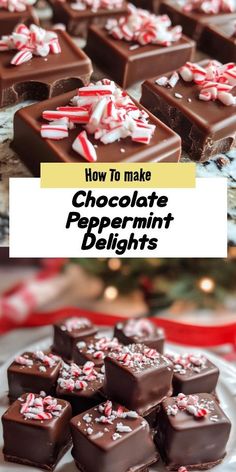 Celebrate the season with these mouthwatering Chocolate Peppermint Delights! Blend rich chocolate with refreshing peppermint for a delightful treat that’s ideal for festive gatherings. Easy to make and sure to impress! Easy Holiday Treats, Chocolate Peppermint Cookies, Peppermint Chocolate, Baking Recipes Cookies, Peppermint Cookies, Festive Treats, Christmas Cooking, Chocolate Peppermint, Easy Cookie Recipes