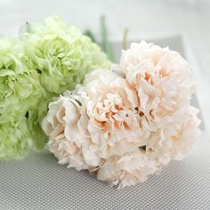 two white and green flowers sitting on top of a table