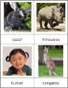 four different pictures of animals and their names in the same language, including an animal