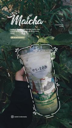 a person holding up a coffee cup in front of green leaves with the words matcha written on it