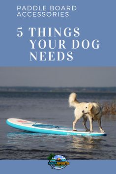 a dog standing on top of a surfboard in the water with text that reads paddle board accessories 5 things your dog needs