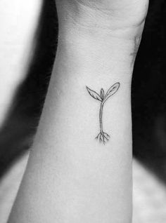 Nutrition Tattoo Ideas, Seedling Tattoo, Seeds Tattoo, Sprout Tattoo, Vegetable Tattoo, Seed Tattoo, Chef Tattoo, Roots Tattoo, Tattoo Plant