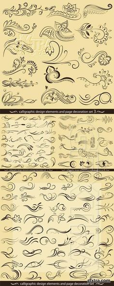 the different types of calligraphys and their meanings are shown in this graphic file